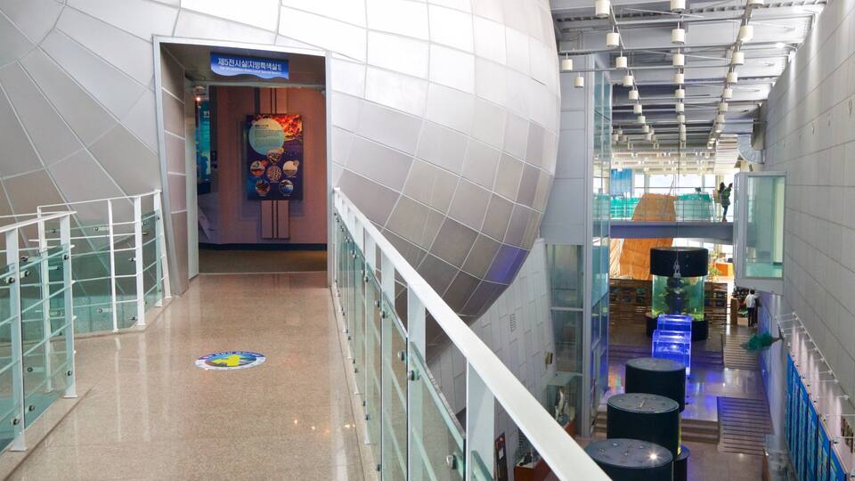 A modern indoor corridor with glass railings, tiled walls, and a sign for 'The Shinban Room Local Special Room'.