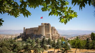 A historic castle on a hill, surrounded by trees and a clear sky.