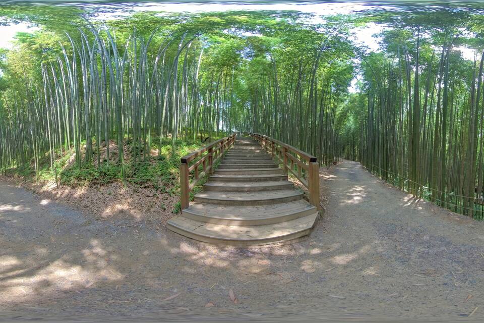 A wooden staircase leading through a bamboo forest.