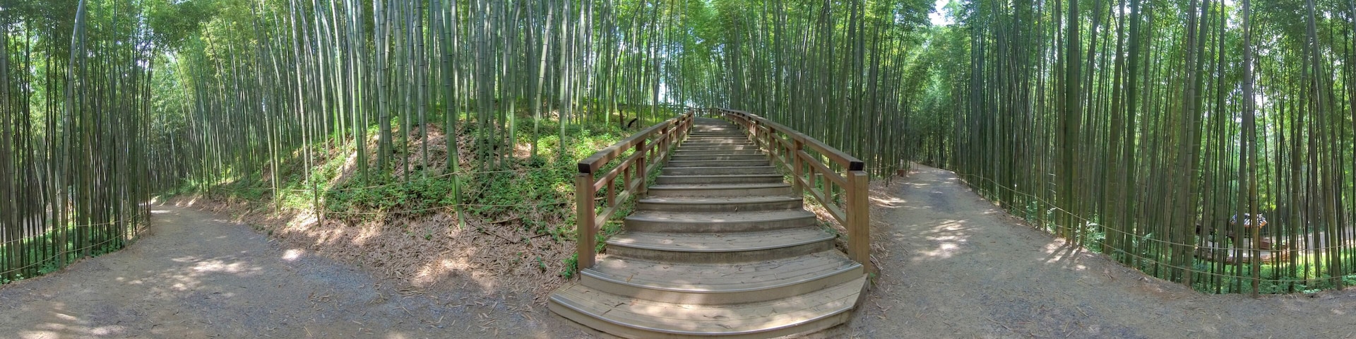Damyang, South Korea - 24 July 2019 Juknokwon. 360 degrees spherical panorama of bamboo forest.