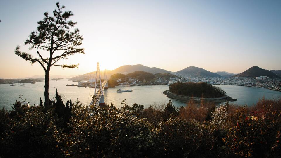 A coastal cityscape with a prominent bridge, a tree, and a body of water.