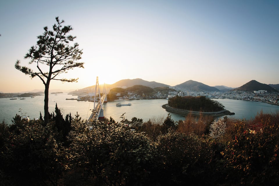 A coastal cityscape with a prominent bridge, a tree, and a body of water.