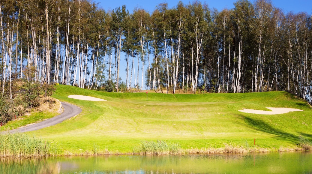 Golf course in autumn, grass field and lake