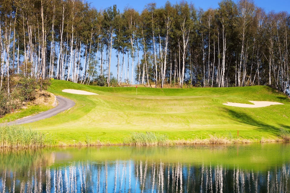 A golf course with sand bunkers, a pond, and tall trees.