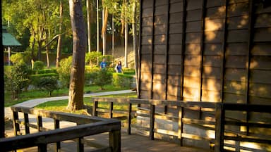 Taoyuan Shrine featuring a park and religious aspects