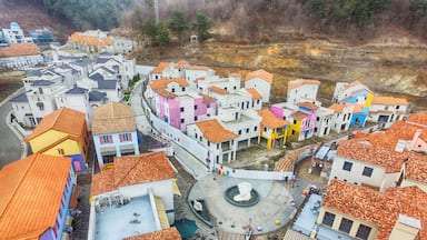 Aerial View of Damayng Village and metasequoia Forest, Damyang, Jeonnam, South Korea, Asia
