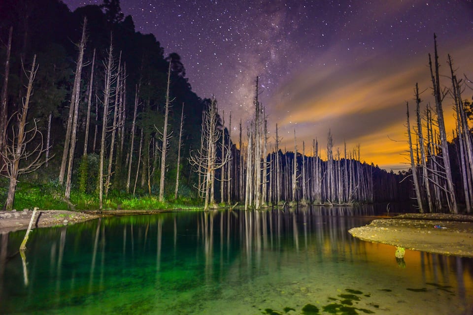 A night scene with a starry sky, a calm lake, and leafless trees.