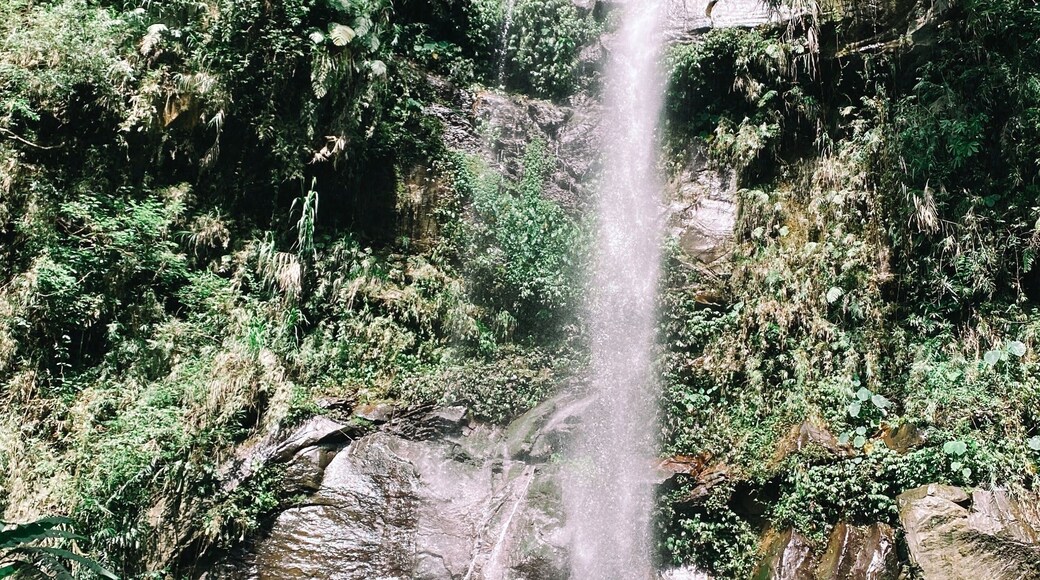 Yuan Tan ekologisk park