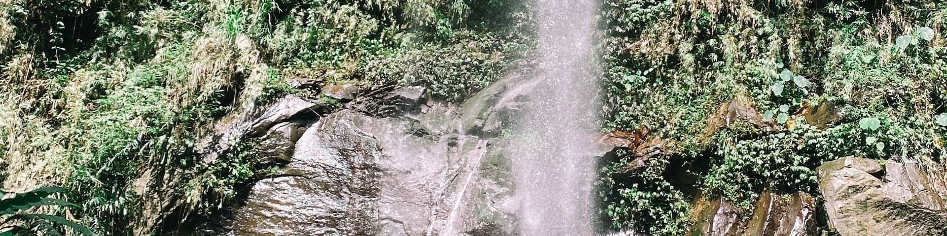A waterfall cascading over rocks surrounded by lush greenery.