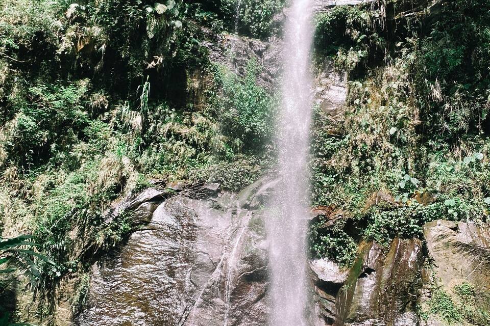 Una cascata che si getta su rocce, circondata da una vegetazione lussureggiante.