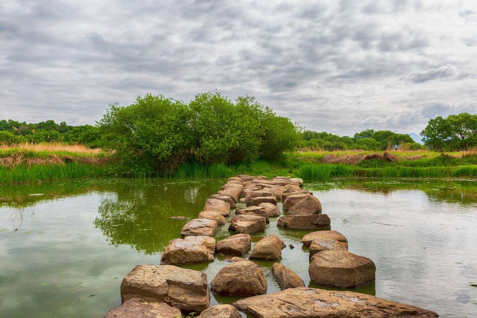 A stone bridge over a calm river surrounded by lush greenery and trees.
