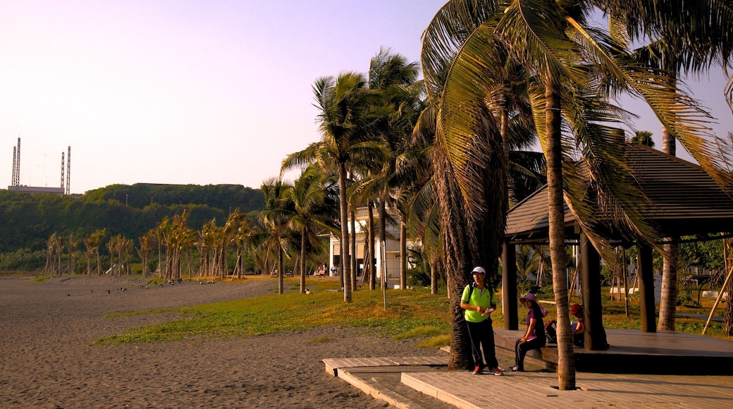 치진 해안 공원 을 보여주는 해변 과 아열대 풍경