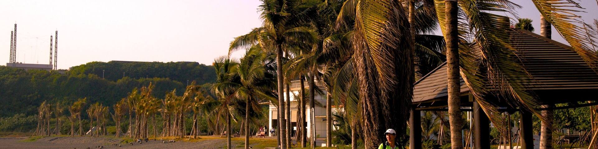 Una playa con palmeras, un camino de madera y una persona con chaleco verde.