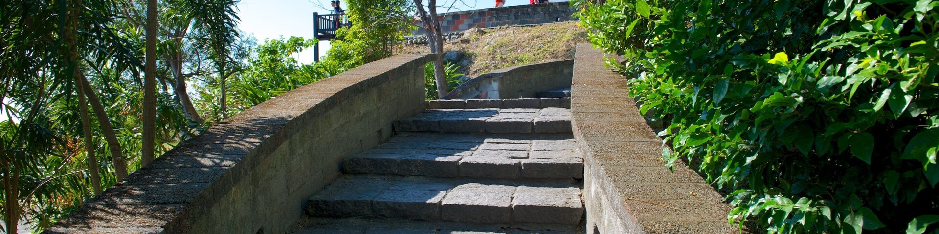 Una escalera de piedra que sube una colina, rodeada de exuberante vegetación y árboles.