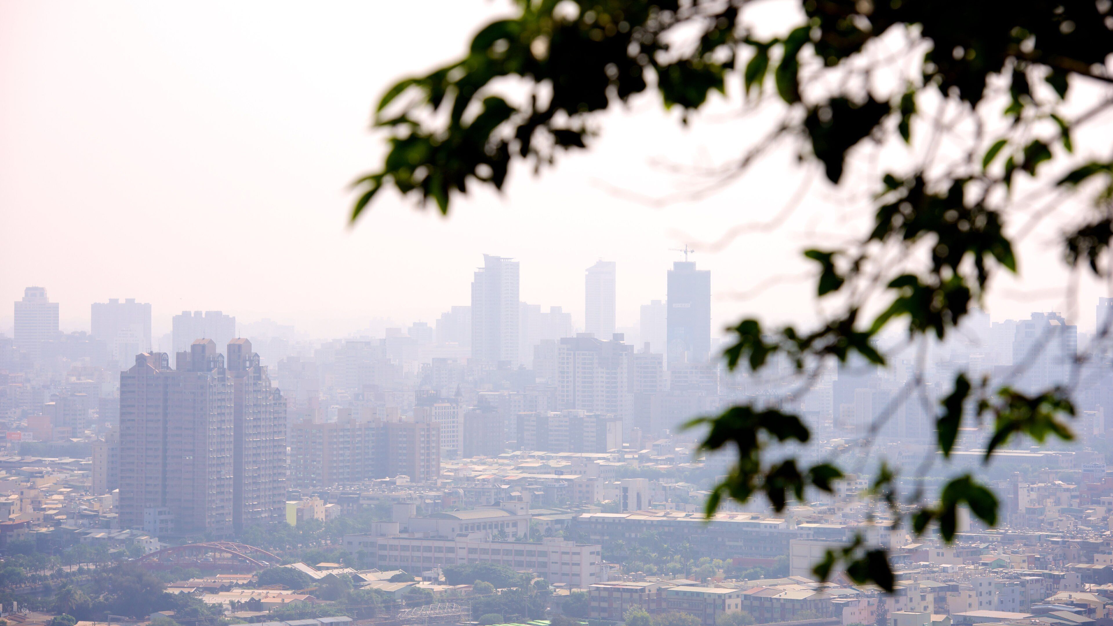 Caishan Natural Park showing a city