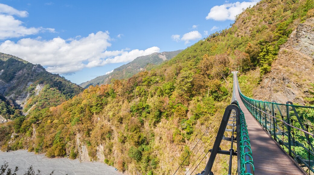 奧萬大國家森林遊樂區