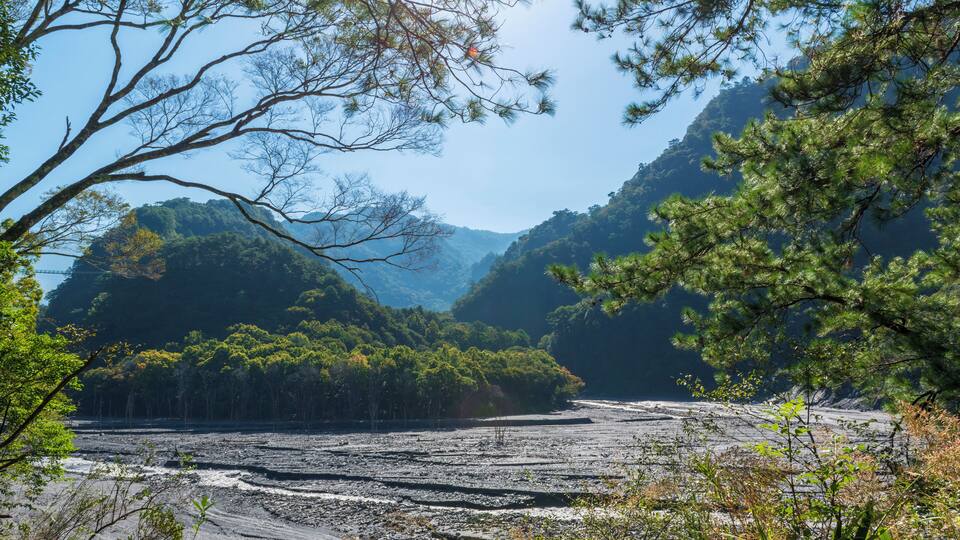 Renai_AowandaNationalForest_6332564_04