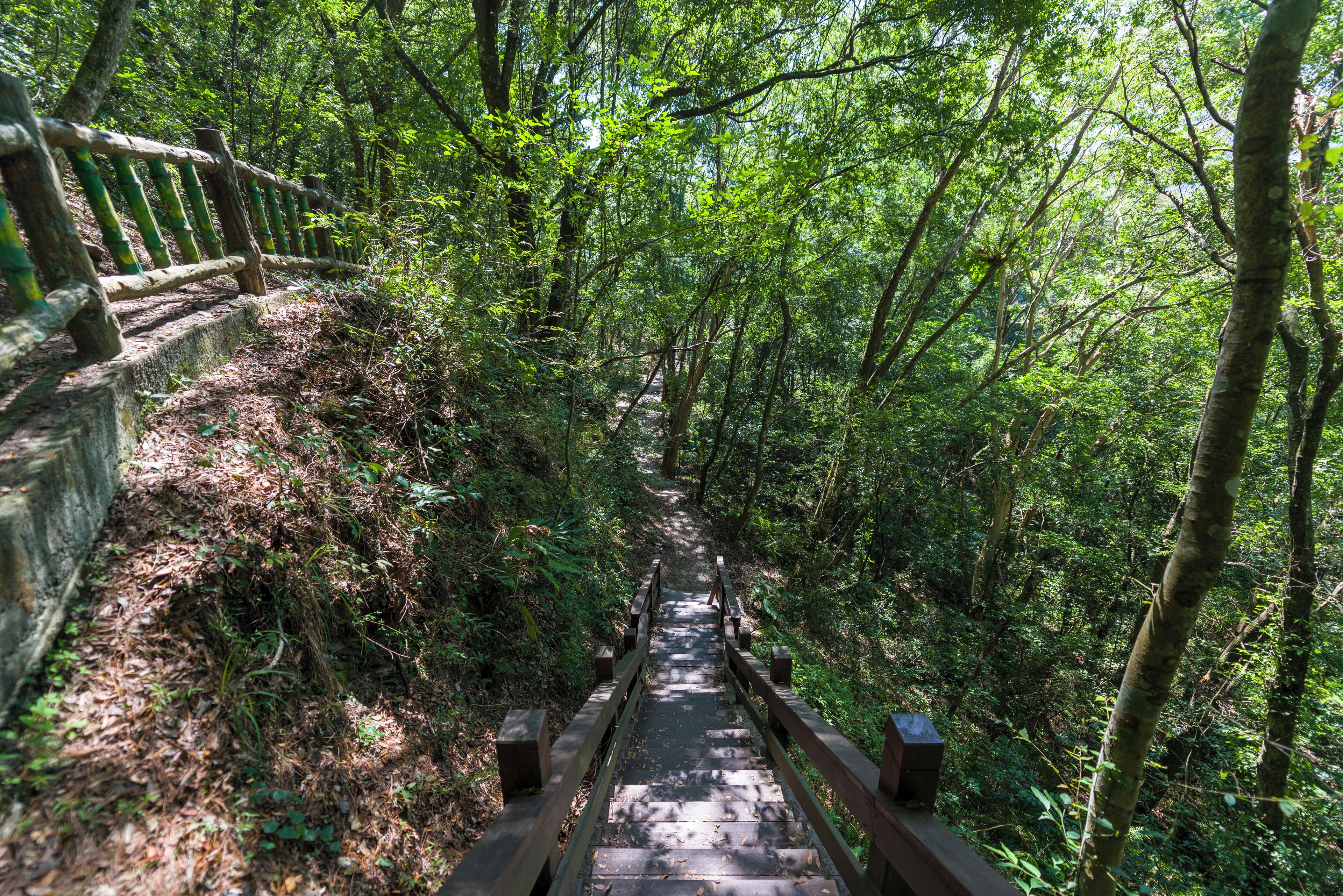 Aowandan kansallismetsä