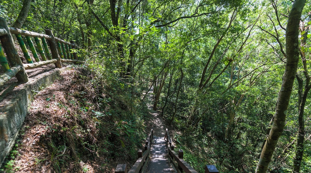 奧萬大國家森林遊樂區