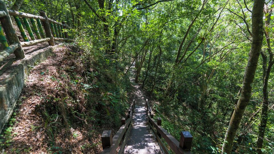 Renai_AowandaNationalForest_6332564_22