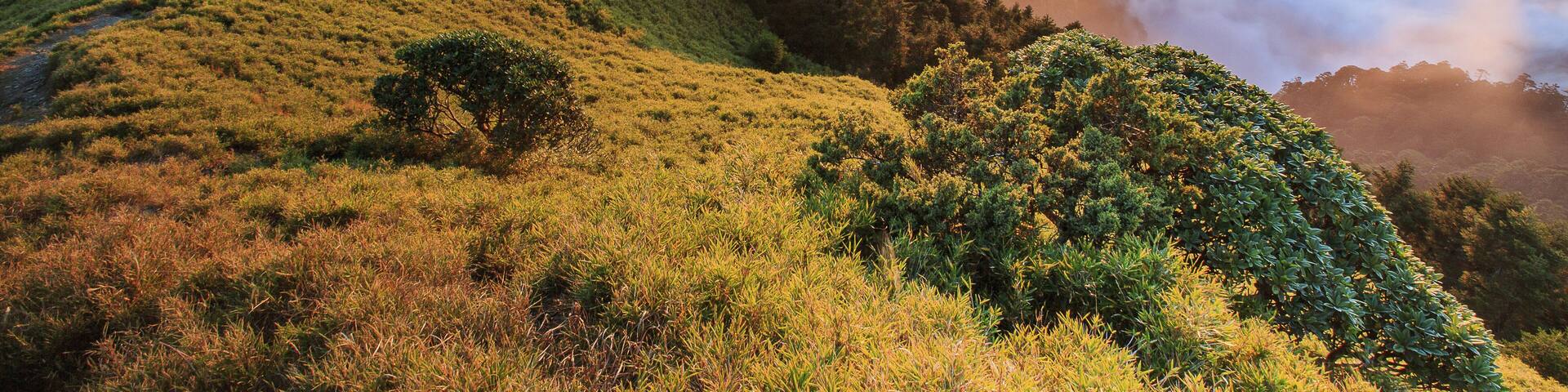 Mountain of Hehuan Taiwan; Shutterstock ID 772450945; purchase_order: SF 06557000; job: ; client: ; other: