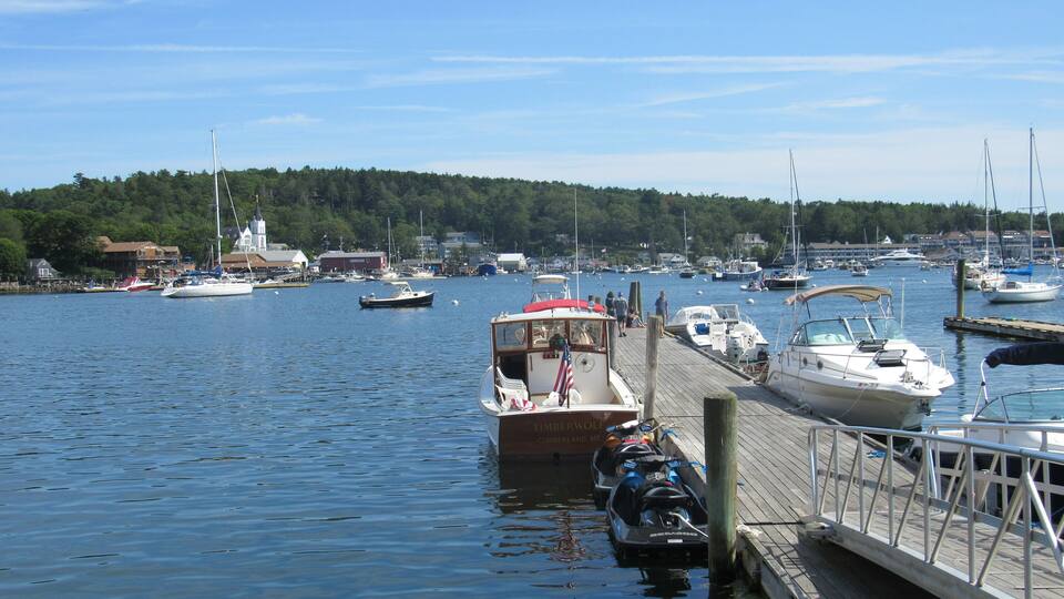 A marina with various boats docked, a wooden pier, and a forested hill in the background.