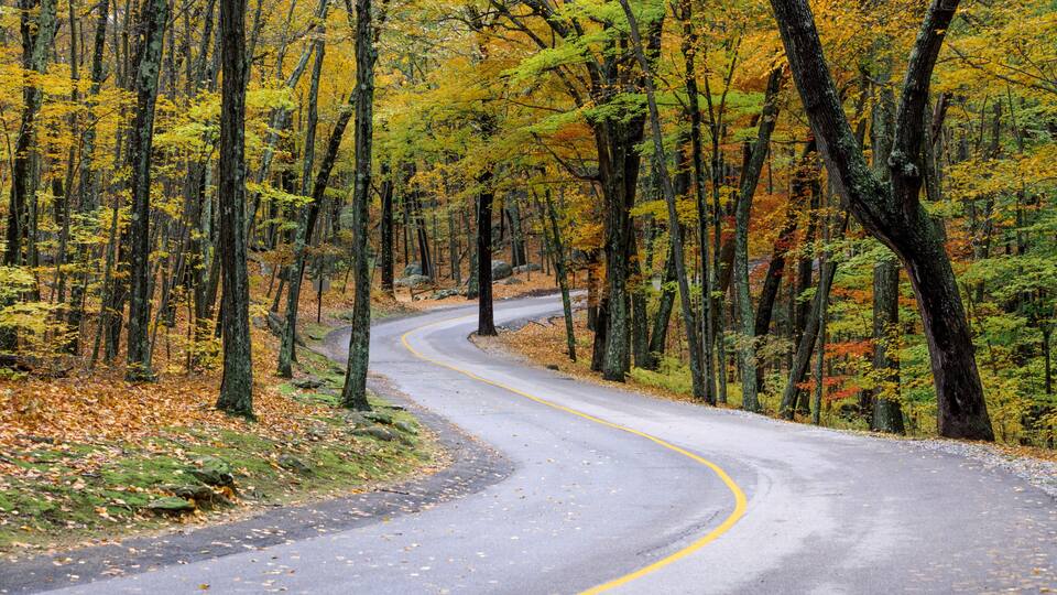A winding road through a forest with autumn-colored trees.