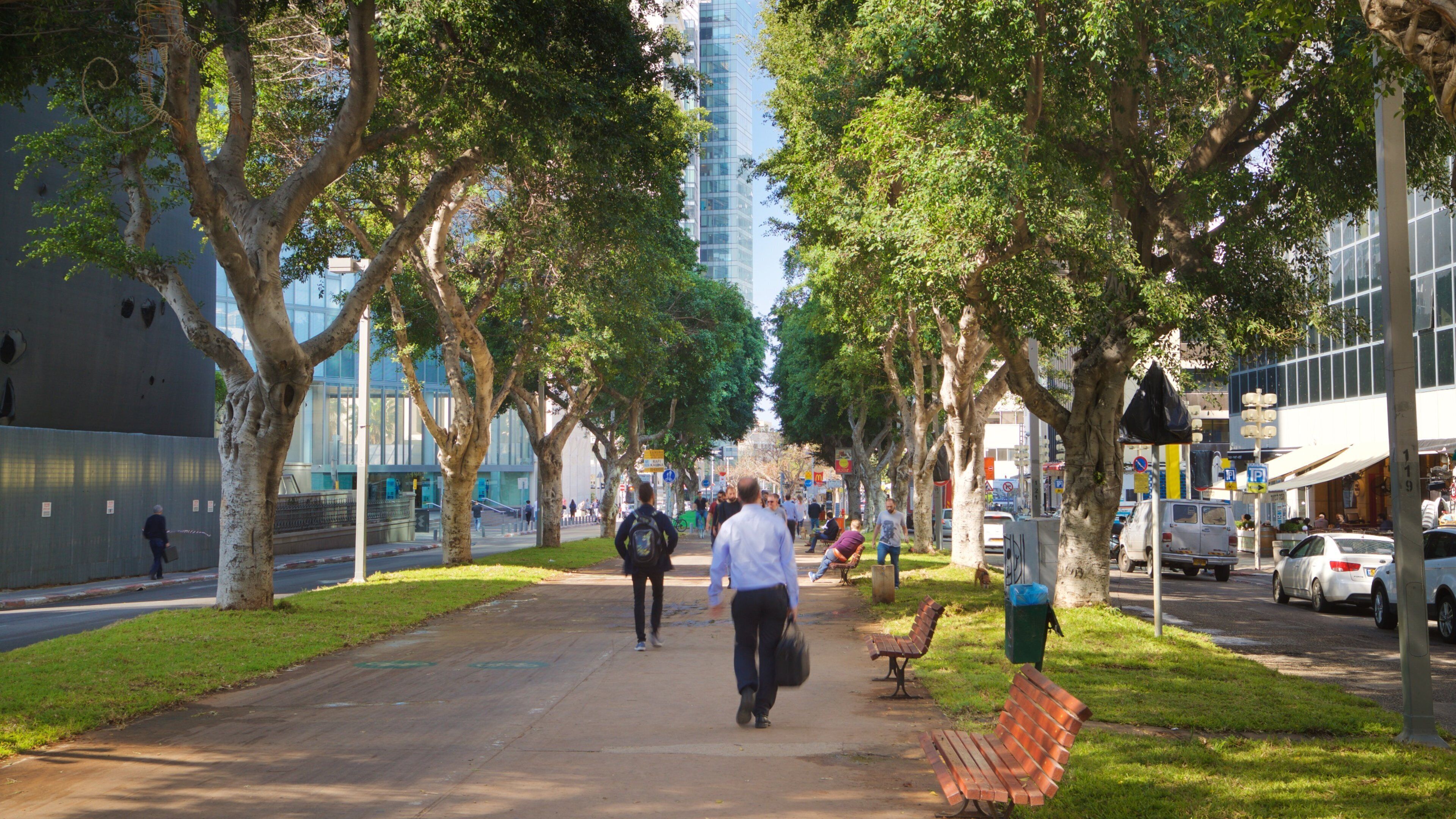 Rothschild-Boulevard