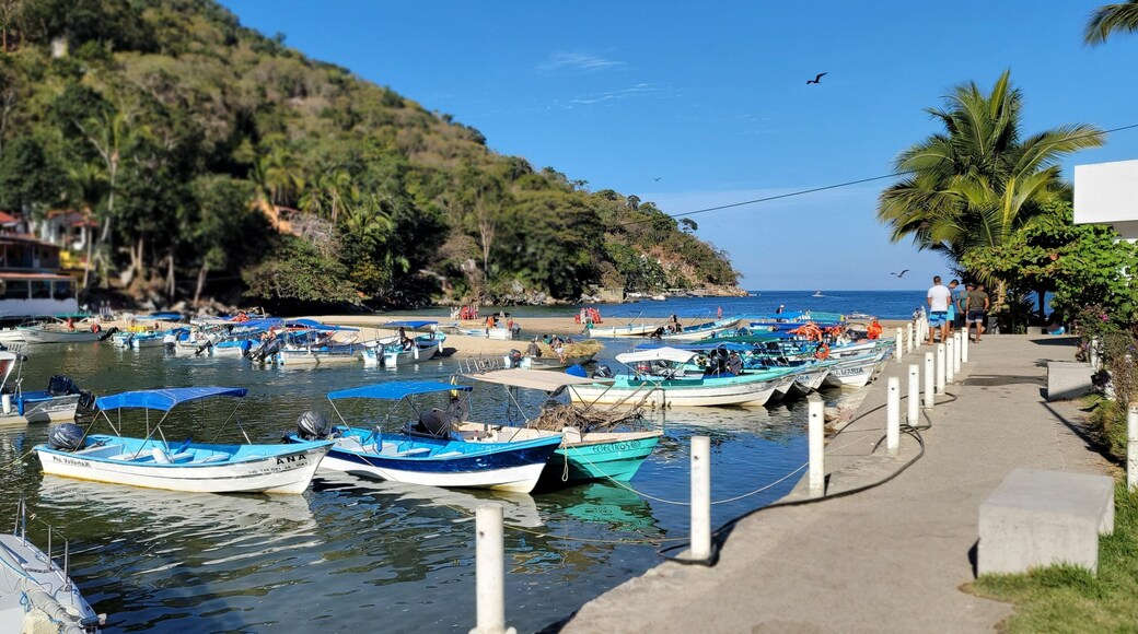 Un port côtier où de nombreux petits bateaux sont amarrés le long de la rive, entouré d’une végétation luxuriante et sous un ciel bleu dégagé.