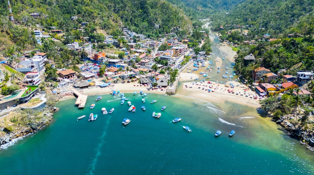 Une ville côtière dotée d’un port de plaisance, d’une plage et d’une végétation luxuriante.