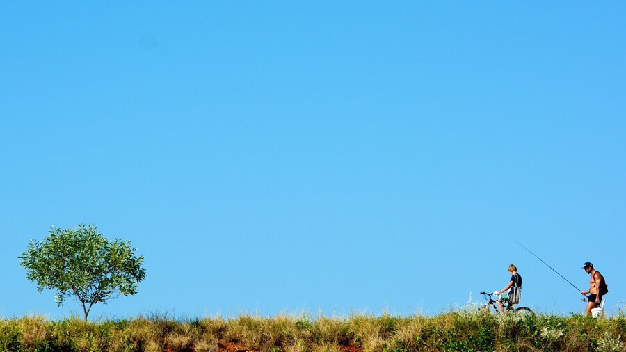 Town Beach showing landscape views as well as a small group of people
