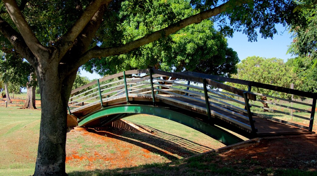 Town Beach which includes a park