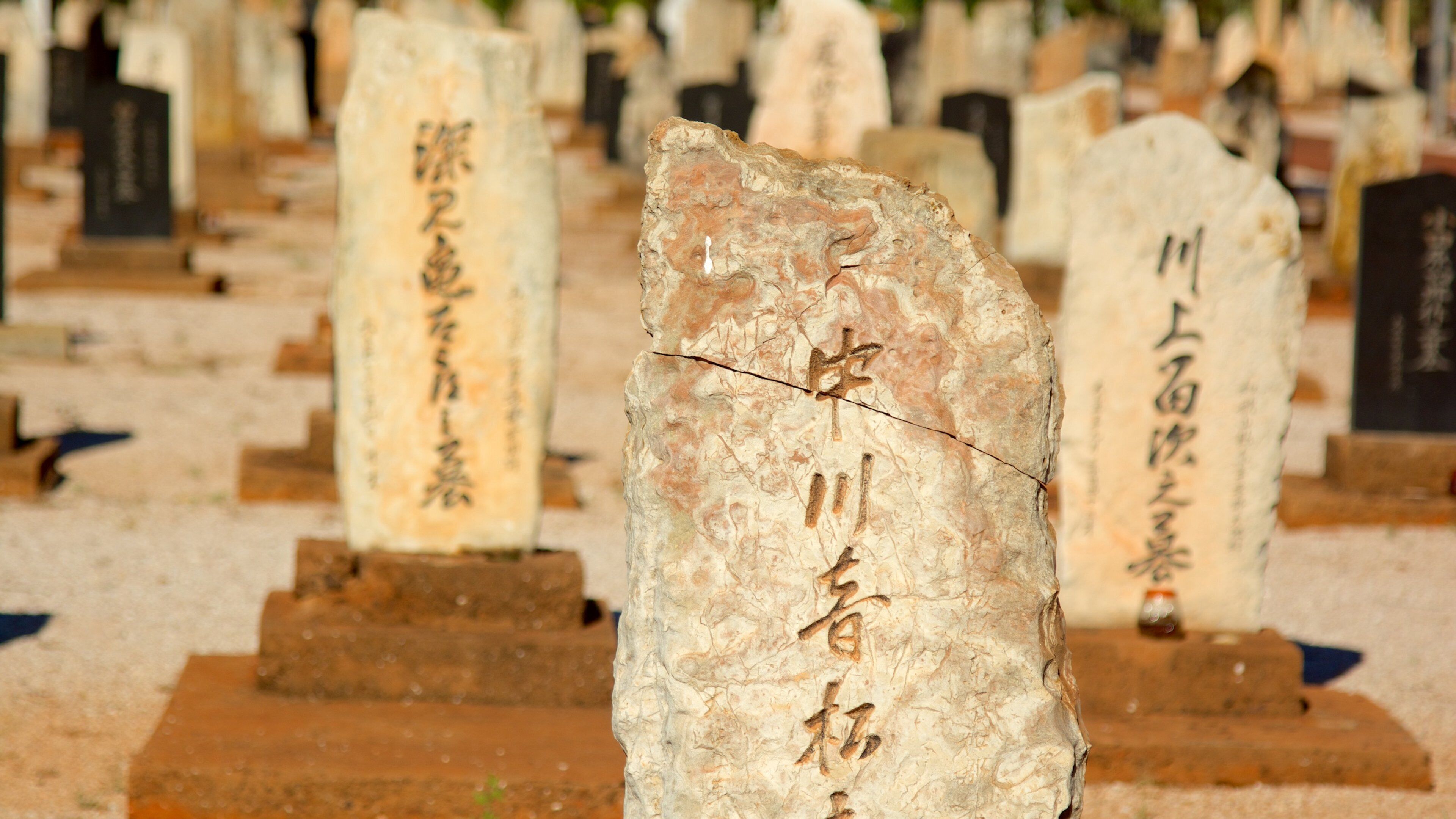 Japanese Cemetery which includes a cemetery