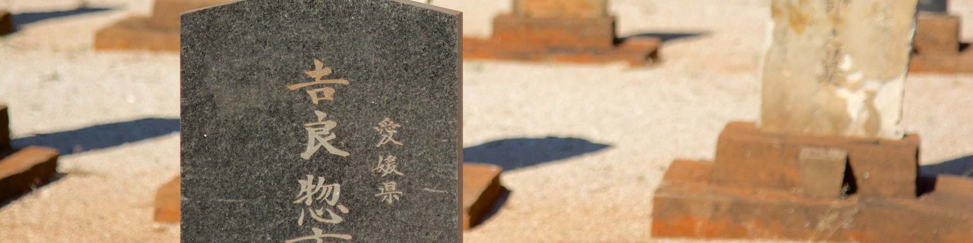 Japanese Cemetery showing a cemetery