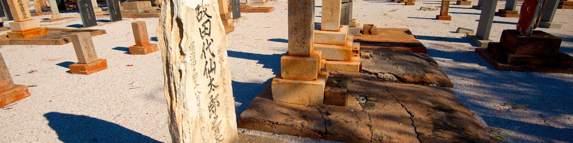 Japanese Cemetery showing a cemetery
