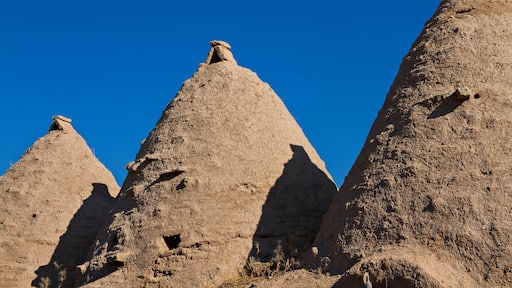 Domed adobe houses in the town of Harran, near Sanliurfa, Turkey.