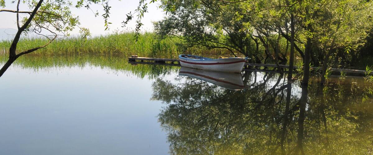 View of reflections of tree and boat on Lake Sapanca in Turkey