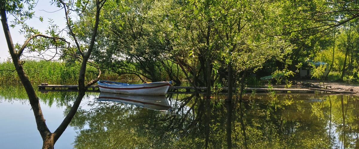 A calm river with a small boat docked near the shore, surrounded by lush green trees and vegetation.