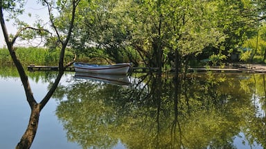 Une rivière paisible, avec une petite barque amarrée près du rivage, entourée d’arbres et d’une végétation luxuriante.
