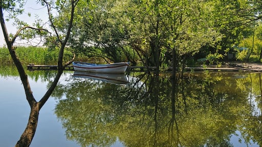 Sapanca