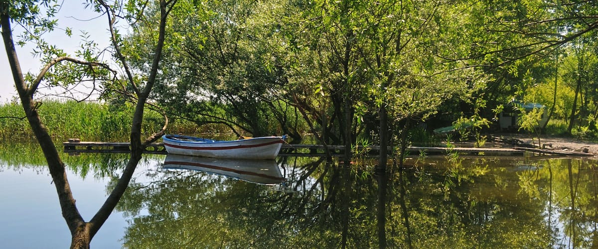 A calm river with a small boat docked near the shore, surrounded by lush green trees and vegetation.