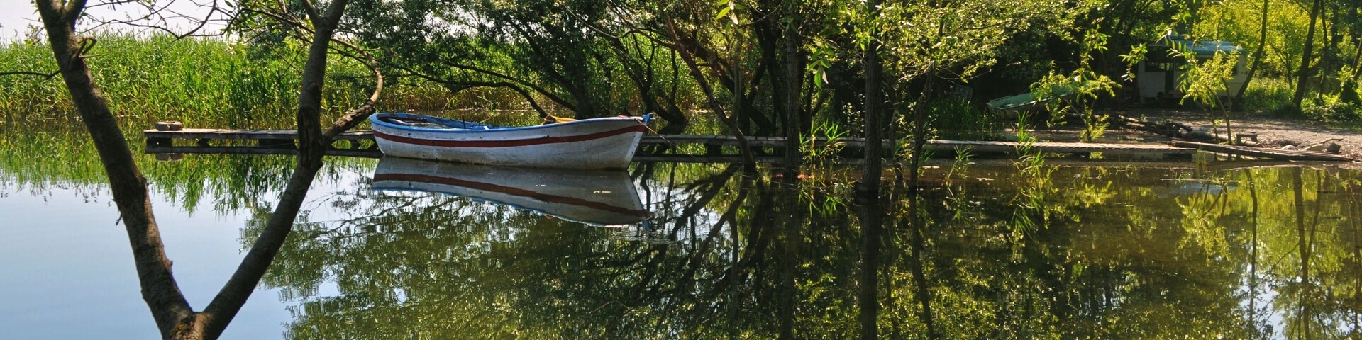 A calm river with a small boat docked near the shore, surrounded by lush green trees and vegetation.