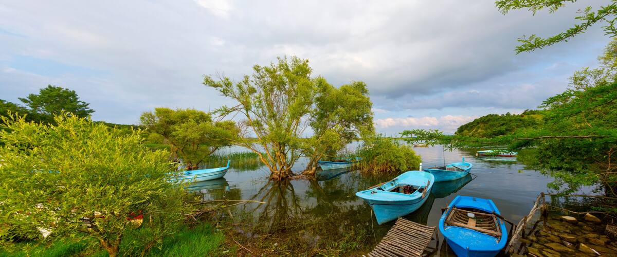 A calm river with several blue boats docked along the shore, surrounded by lush greenery and trees.