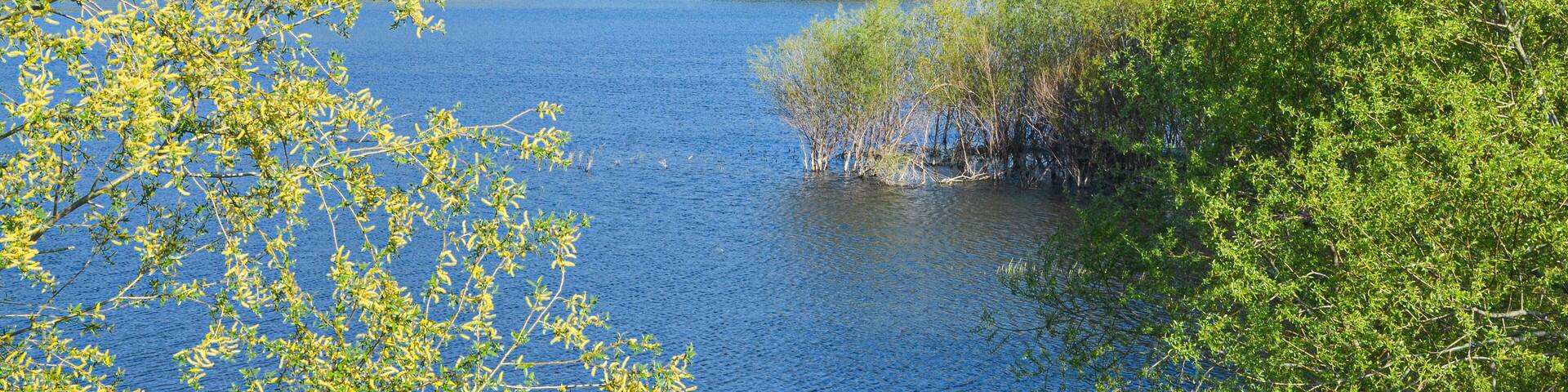 banks of Susurluk (Simav) river in spring near Sultancayiri (Balikesir province, Turkey)