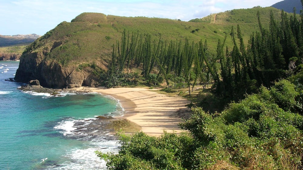 Un paysage côtier avec une plage de sable, une mer turquoise, une forêt verdoyante et une colline en arrière-plan.