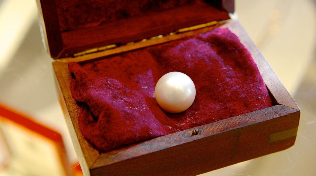 Pearl Luggers Museum inclusief interieur