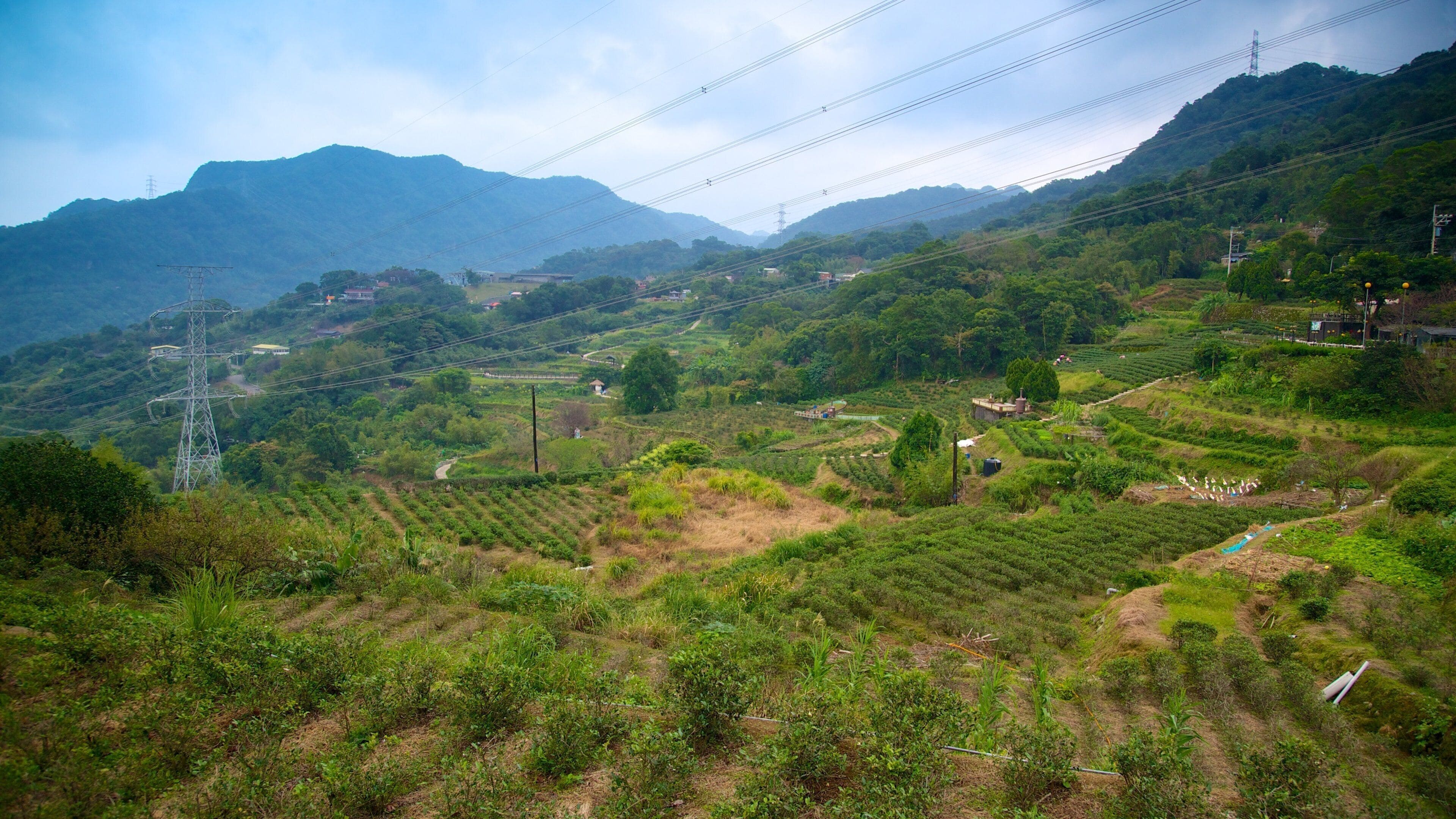 Taipéi ofreciendo montañas, vistas de paisajes y tierras de cultivo