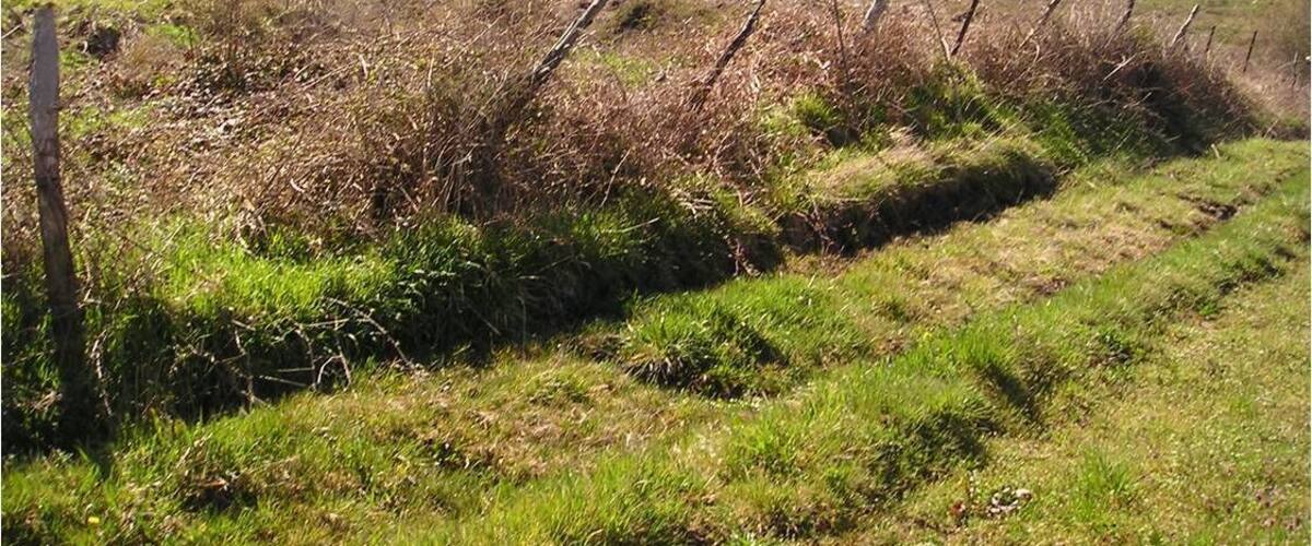 A grassy hillside with a fence and a utility pole.