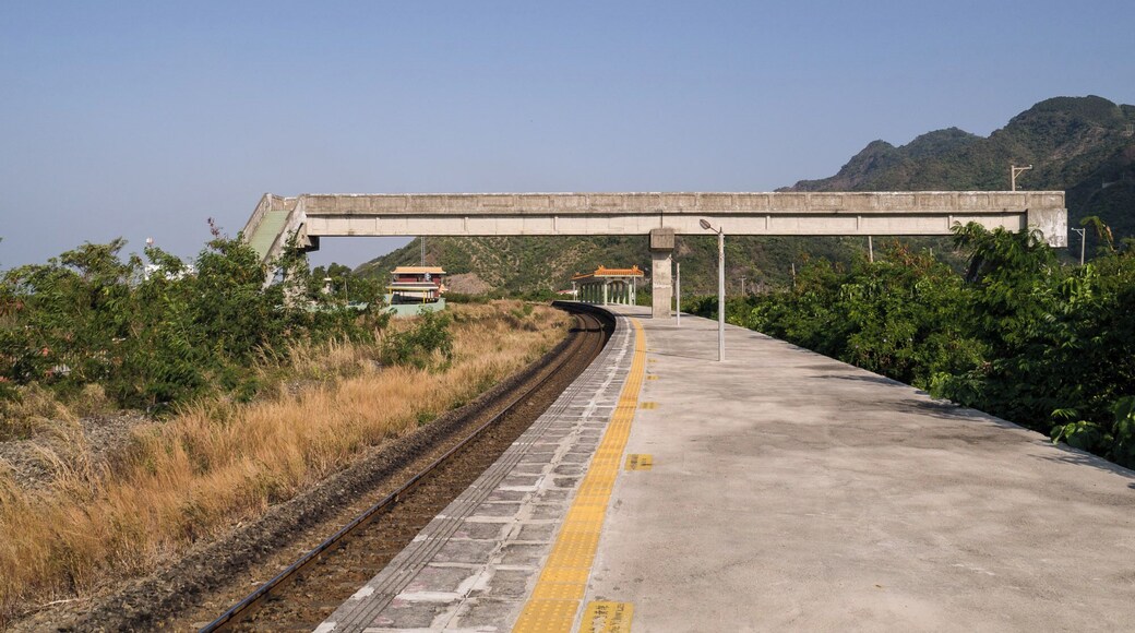 內獅車站 TRA Neishi Station