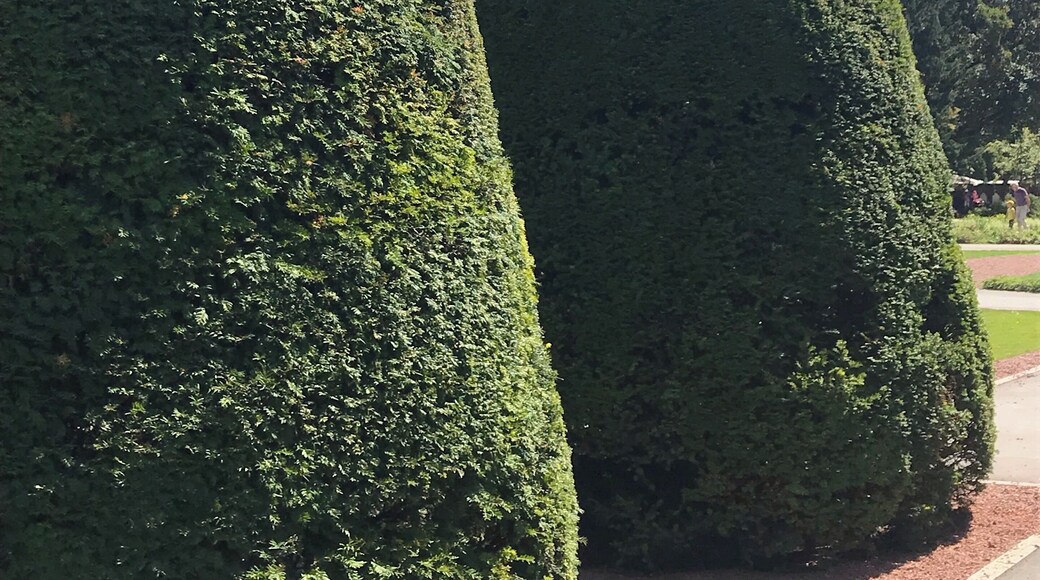 Fortress in Belgrade